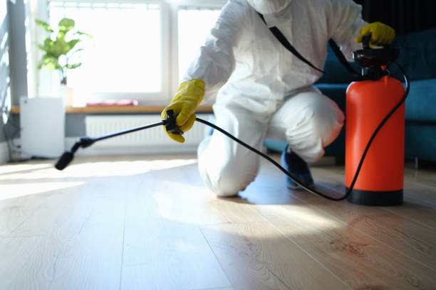 Reliable Odor Removal contractor in Springfield, OR by Trauma Clean Pros